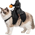 Disfraz de Jinete sin Cabeza para Gato y Perro Pequeño | Halloween (1 pieza)